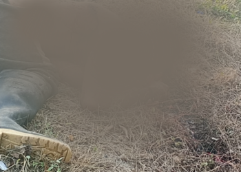 Hallan a una persona asesinada de varios disparos en zona rural de Riohacha