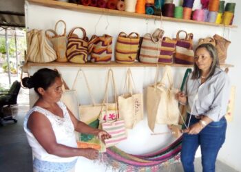 Agrosoin, un verdadero modelo de sostenibilidad artesanal y ambiental en el sur de La Guajira