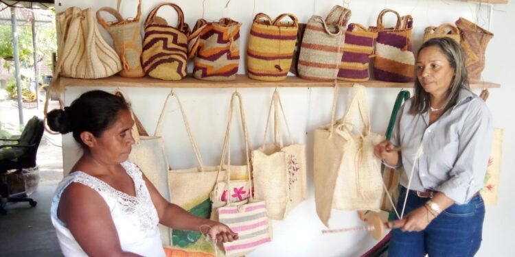 Agrosoin, un verdadero modelo de sostenibilidad artesanal y ambiental en el sur de La Guajira
