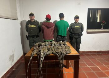 Capturados 2 hombres por aprovechamiento ilícito de recursos renovables en Urumita