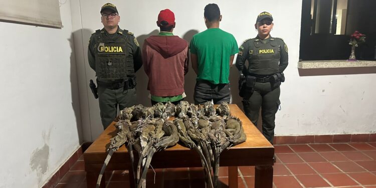 Capturados 2 hombres por aprovechamiento ilícito de recursos renovables en Urumita