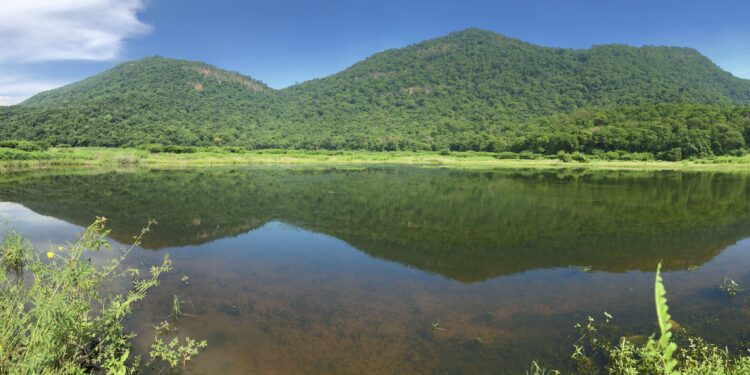 Divulgan estudio sobre efectos de minería de la carbón en la biodiversidad en La Guajira