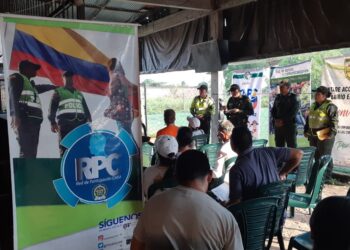 ¿El peligro de los frentes de seguridad ciudadana?