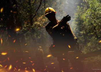 Procuraduría cuestiona prevención y atención de incendios por parte de las autoridades