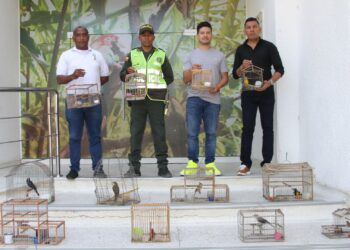 Policía Ambiental decomisa quince aves de varias especies en Riohacha