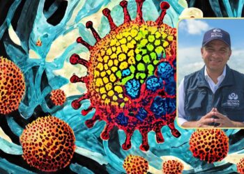 Defensor del Pueblo insta a reforzar medidas ante la llegada de ‘Pirola’, nueva variante del Covid que coincide con el retorno escolar