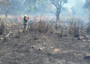 Más de 10 hectáreas de vegetación han sido consumidas por un incendio forestal en el Sur de La Guajira     