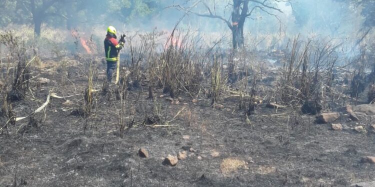 Más de 10 hectáreas de vegetación han sido consumidas por un incendio forestal en el Sur de La Guajira     