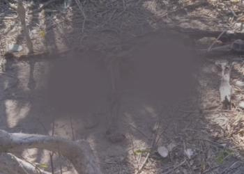 Hallan esqueleto humano en zona enmontada entre San Juan del Cesar y Pondores