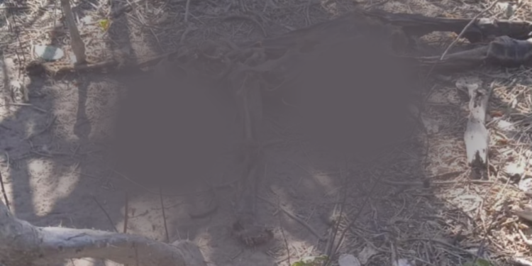 Hallan esqueleto humano en zona enmontada entre San Juan del Cesar y Pondores