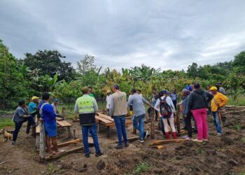 ICA-FAO inició brigadas en La Guajira para fortalecer la sanidad agropecuaria en comunidades campesinas