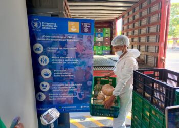 Se salvan ahuyamas de Maicao gracias a compras por el PAE del PMA en La Guajira