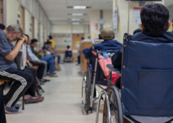 La Reforma a la Salud y los bobos útiles