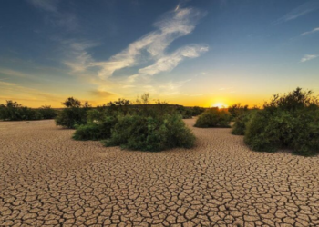 Llegó El Niño y el rancho ardiendo