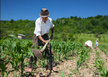 Nuestros campesinos, la ciencia del campo