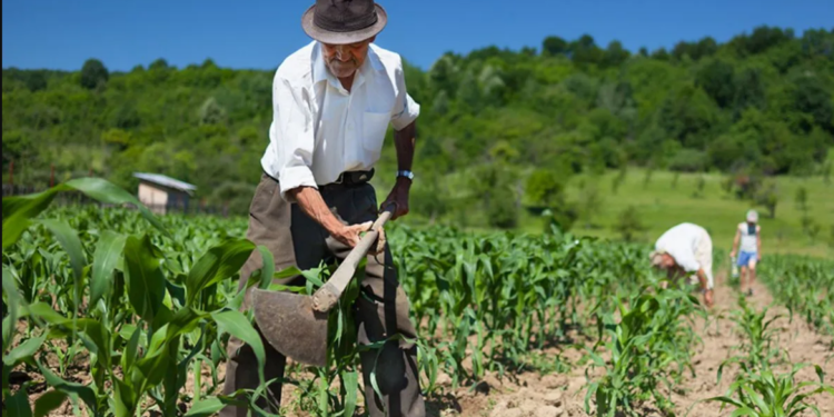 Nuestros campesinos, la ciencia del campo