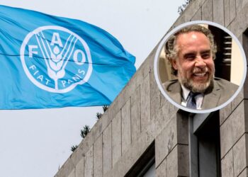 Armando Benedetti regresaría al Gobierno nacional como Embajador de Colombia ante la FAO