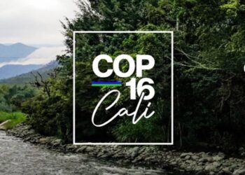 Cali será la sede de la COP16 Cumbre de Biodiversidad 2024, del 21 de octubre al 1 de noviembre