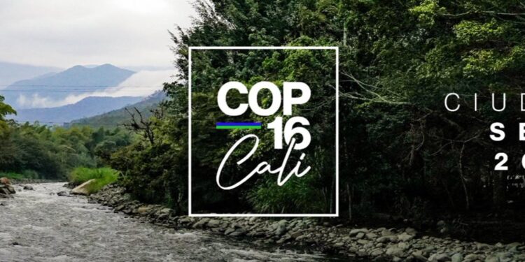 Cali será la sede de la COP16 Cumbre de Biodiversidad 2024, del 21 de octubre al 1 de noviembre