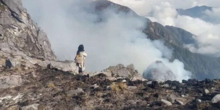 Lluvias apaciguaron incendio en la Sierra Nevada  pero varios focos persisten en territorios indígenas