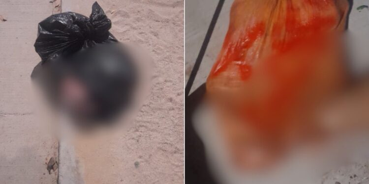 En bolsas y sacos hallan restos humanos desmembrados en el corregimiento de Juan y Medio