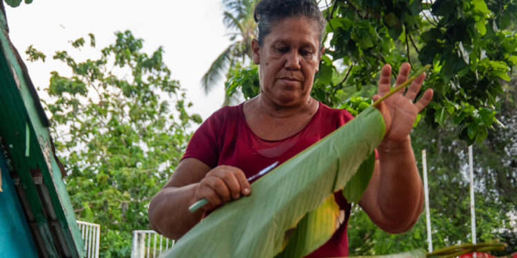 Gobierno invertirá $68 mil millones en proyectos para mujeres de los municipios Pdet