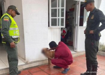 Judicializado hombre que habría dejado ciega a una canina en La Guajira