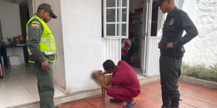 Judicializado hombre que habría dejado ciega a una canina en La Guajira