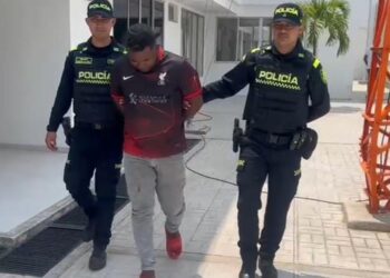 Hombre es capturado por el presunto delito de violencia intrafamiliar en Albania