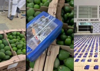 Incautan cerca de dos toneladas de coca entre un cargamento de aguacates en el puerto de Santa Marta