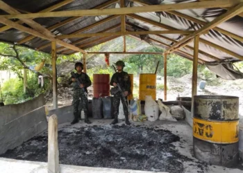 Destruidos dos laboratorios de pasta base de coca avaluados en más de 800 millones de pesos