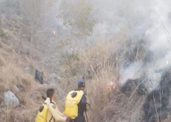 Cinco incendios forestales siguen consumiendo la capa vegetal en el departamento del Cesar