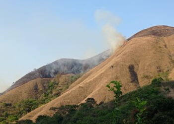 Incendio forestal consumió más de 550 hectáreas en territorio montañoso de la serranía en El Molino