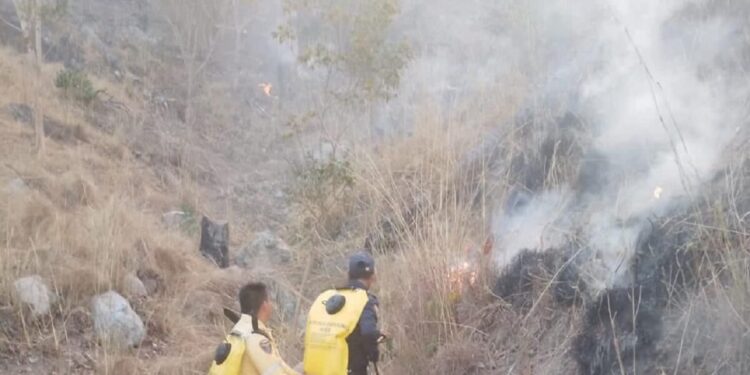 Cinco incendios forestales siguen consumiendo la capa vegetal en el departamento del Cesar