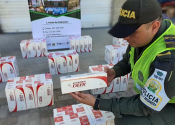 Desarticulada red dedicada al contrabando de cigarrillos provenientes del Caribe