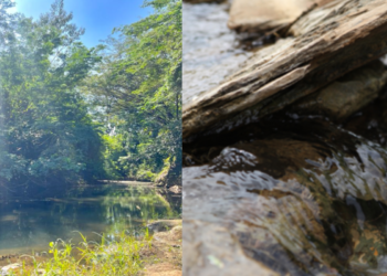 En 2023 ríos y arroyos guajiros fueron protegidos