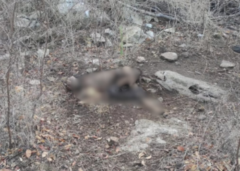 Restos humanos hallados en zona rural de San Juan del Cesar