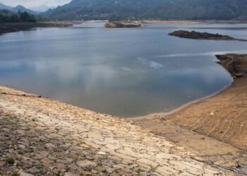 Hay que gritar las verdades