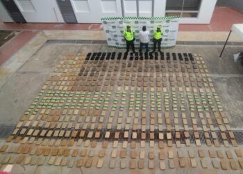 Incautan 571 kg de marihuana en la vía Distracción – Cuestecitas