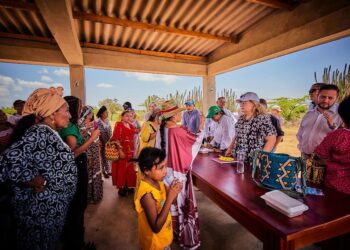 ¿Y qué hicieron en los primeros 100 días?