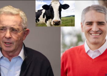 Vaca traga billete y caga concreto en Antioquia