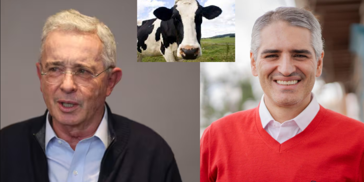 Vaca traga billete y caga concreto en Antioquia