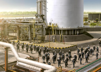 El costo de la inacción