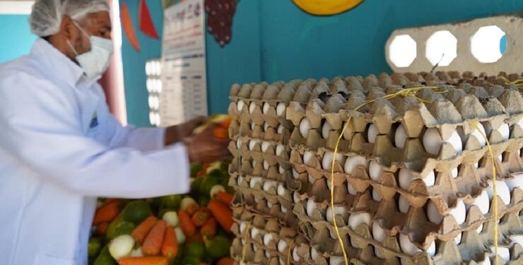 Seis Entidades Territoriales Certificadas brindan atención parcial del PAE Indígena