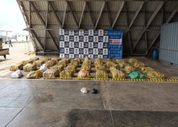 Armada de Colombia incauta más una tonelada de marihuana