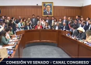 Agarrón entre senadores Honorio Henríquez y Martha Peralta en debate a la archivada Reforma a la Salud: “Payasa”; “Payaso machista”