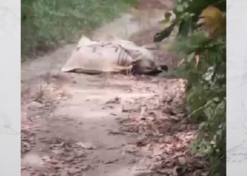 Restos hallados dentro de sacos en zona rural de Dibulla fueron trasladados a Santa Marta para su identificación