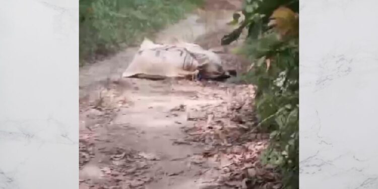 Restos hallados dentro de sacos en zona rural de Dibulla fueron trasladados a Santa Marta para su identificación