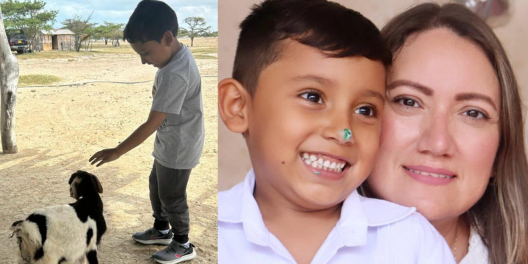 Los códigos del afecto