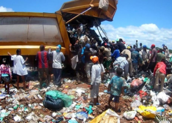 El hambre… no es un juego